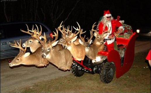 Santa and his sleigh.jpg